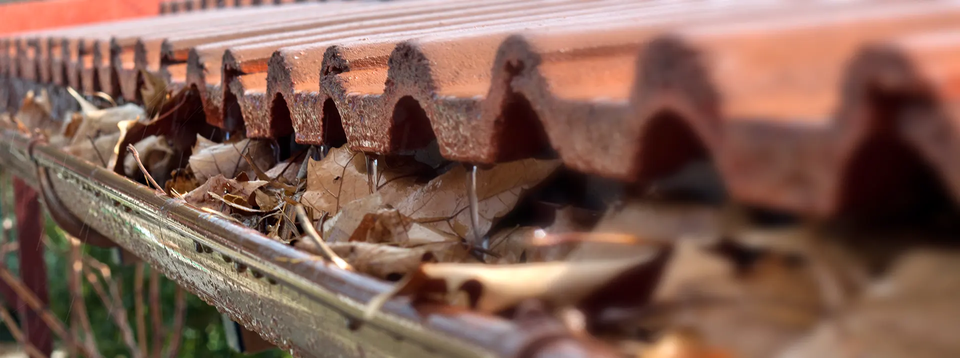 limpieza de canalones tejados gonzalez pamplona limpieza de canalones tejados gonzalez pamplona